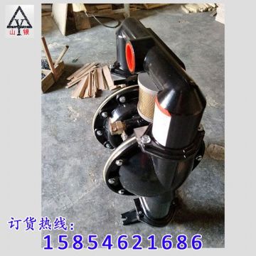 點擊查看詳細信息<br>標題：氣動隔膜泵著名品牌-氣動隔膜泵廠家 閱讀次數(shù)：1978