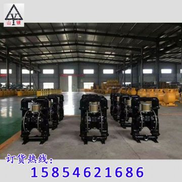 點擊查看詳細信息<br>標題：隔膜泵_氣動隔膜泵_隔膜泵價格_隔膜泵 閱讀次數(shù)：1849