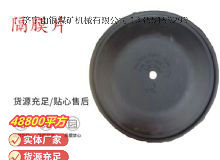 點擊查看詳細(xì)信息<br>標(biāo)題：氣動隔膜泵配件-隔膜片 閱讀次數(shù)：286