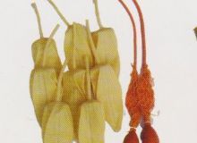 點(diǎn)擊查看詳細(xì)信息<br>標(biāo)題：取氣樣球膽 閱讀次數(shù)：178